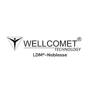 Wellcomet Technology logo